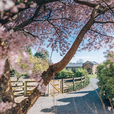 Lexington Park Cottages Cambridge Buitenkant foto