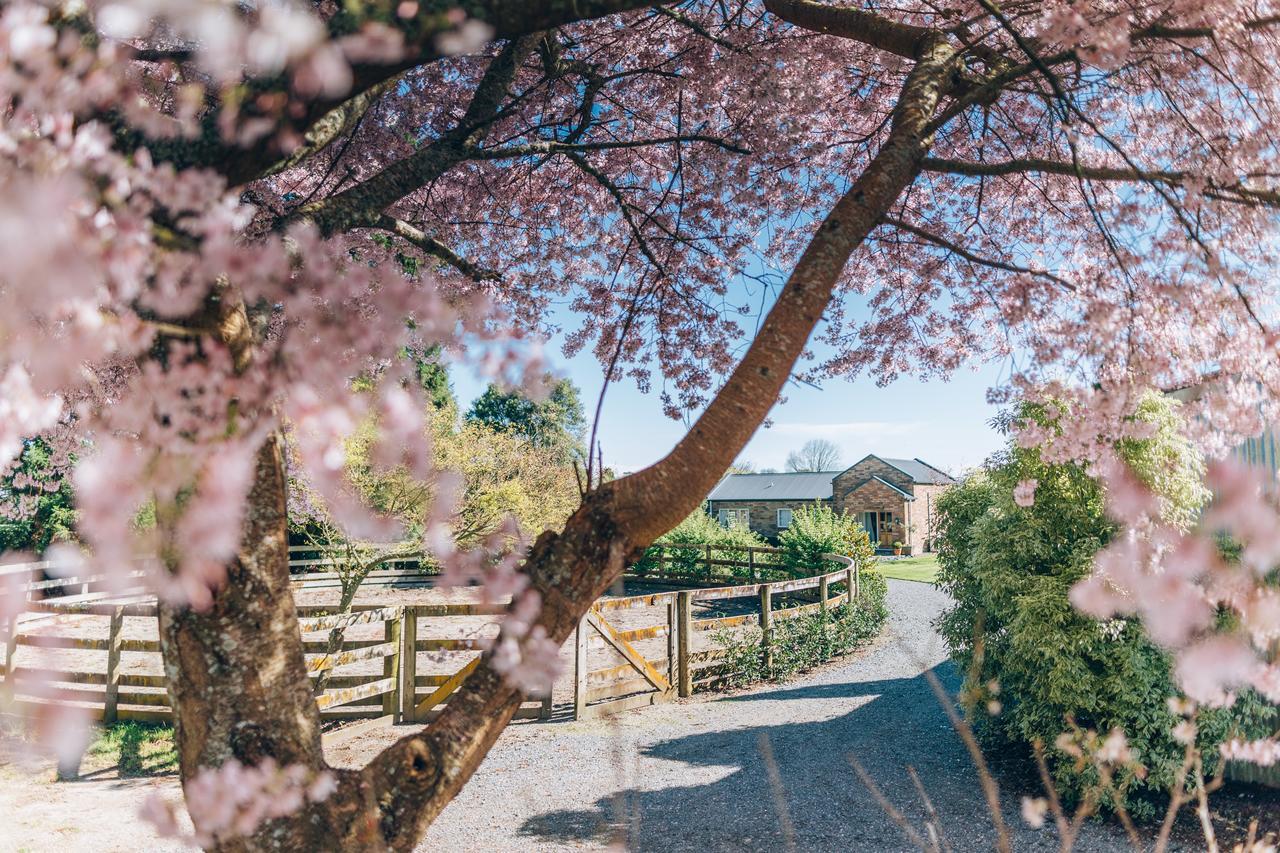 Lexington Park Cottages Cambridge Buitenkant foto