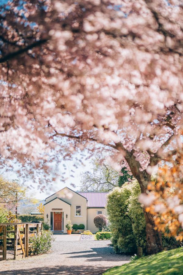 Lexington Park Cottages Cambridge Buitenkant foto